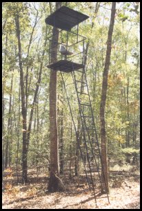 steel chamber deer stand