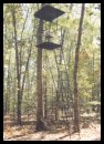 steel chamber deer stand